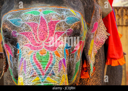 Portrait of painted elephant walking up to Amber Fort near Jaipur, Rajasthan, India. Elephant rides are popular tourist attraction in Amber Fort. Stock Photo