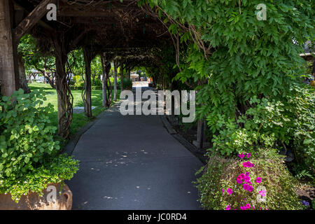 walkway, V Sattui Winery, Saint Helena, Napa Valley, Napa County, California, United States Stock Photo