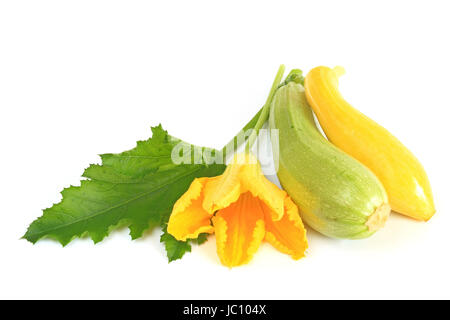 gelbe und grüne Zucchini mit einem Blatt und einer Blüte frreigestellt vor weißem Hintergrund Stock Photo