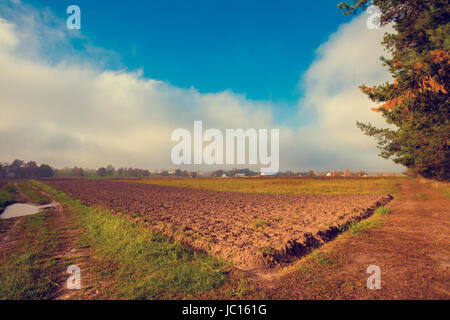 Rural landscape in the morning. Arable field Stock Photo
