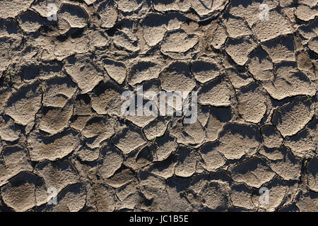 Area of tan colored dried desert mud with edges of polygonal pieces curled up and casting shadows, good for background, drought depiction. Stock Photo