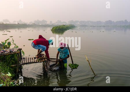 Fishermen are emptying the nets after catching fish in fish breeding lakes in the rural surroundings of the suburb New Town Stock Photo