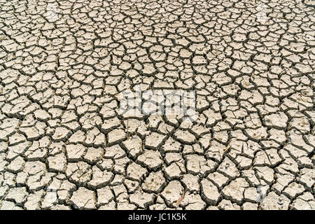 Dryed-out soil on a field in the rural surroundings of the suburb New Town Stock Photo
