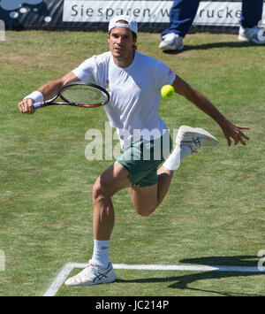 Stuttgart, Germany. 13th June, 2017. Germany's Tommy Haas plays against France's Herbert during their first round match in Stuttgart, Germany, 13 June 2017. Photo: Daniel Maurer/dpa/Alamy Live News Stock Photo