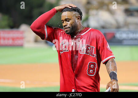 Anaheim, California, USA. 13th June, 2017. June 13, 2017: Los Angeles Angels left fielder Eric Young Jr. #8 tries to douse off for his interview after getting the walk off RBI in the 11th inning in the game between the New York Yankees and Los Angeles Angels of Anaheim, Angel Stadium in Anaheim, CA, Photographer: Peter Joneleit Credit: Cal Sport Media/Alamy Live News