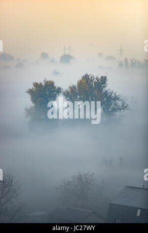 Beautiful view of forest covered by fog at early morning before sunrise Stock Photo