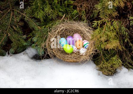 Closeup photo of painted Easter eggs hidden in nest at backyard Stock Photo