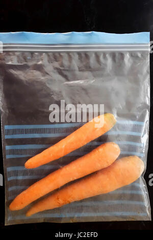 Fresh Carrots in Plastic Storage Bag ready to be put in the Refrigerator Stock Photo