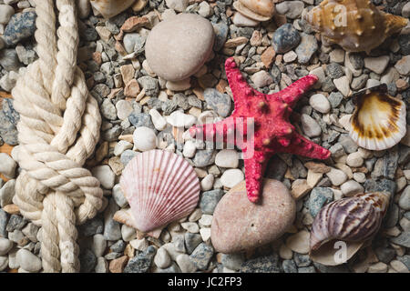 Marine background with ropes and seashells lying on seashore Stock Photo