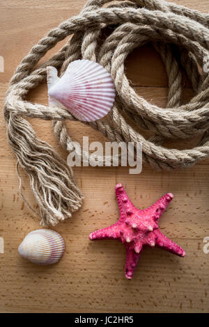 Closeup shot from top of old marine rope and seashells lying on wooden deck Stock Photo