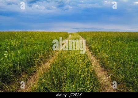 A road going through a tall grass prairie in the Midwest with a dramatic sky Stock Photo