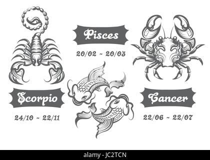 Set of Water Zodiac signs. Scorpion, Fishes and Cancer drawn in engraving style. Vector illustration. Stock Vector
