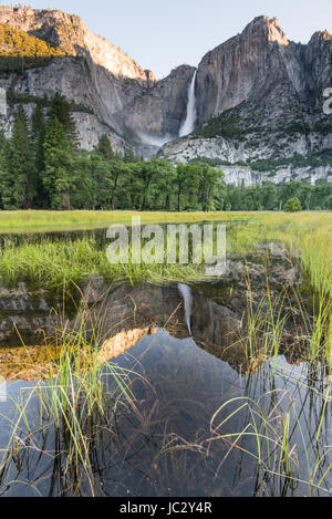 Early morning light on the mountains of Yosemite Falls are reflected in a flood pool of Cooks Meadow Stock Photo