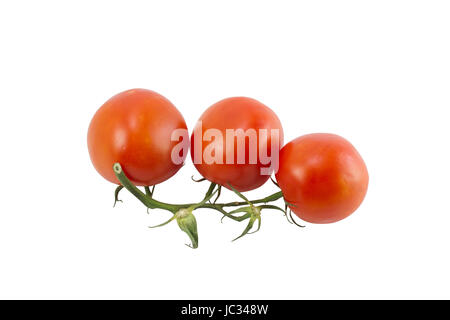 Ripe Tomato isolated on white background, Three red tomatoes on the green line Stock Photo