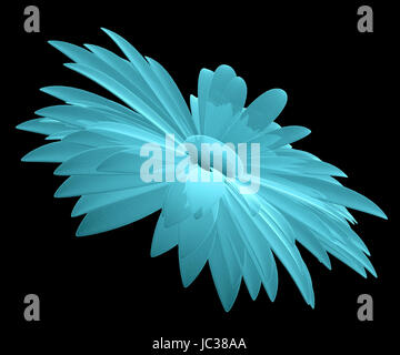 X-Ray Image of Chamomile Flower, isolated on black background. 3D illustration Stock Photo