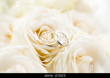Macro shot of two platinum wedding rings lying on white roses Stock Photo