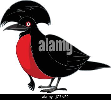 Cartoon smiling umbrellabird Stock Vector