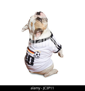 Soccer Word Cup Dog Mascot isolated Stock Photo