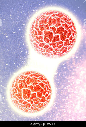 HIV Aids virus cells for medical science background 3D illustration ...