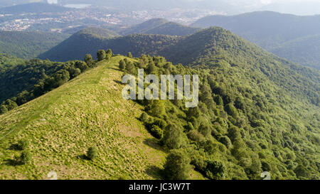 Aerial view of a path leading to Monte Boletto, Alps, near Lake Como. Como, Brunate, Lombardy, Italy