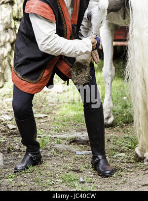 Putting horseshoes on a horse, detail of a worker looking after a horse Stock Photo