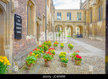 Potted flowers on the cobbled stones outside the porters' lodge at Peterhouse, the oldest college (founded 1284) at the  university of Cambridge, Engl Stock Photo