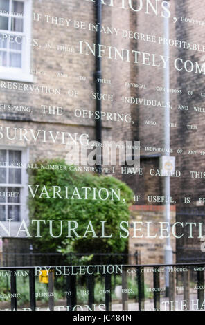 Window, with a quotation from Charles Darwin's inscribed on it, at the Centre for Human Evolutionary Studies, university of Cambridge, Fitzwilliam str Stock Photo