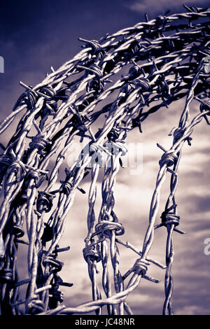 a coil of dangerous barbed wire with a blue cloudy sky background in blue tone Stock Photo