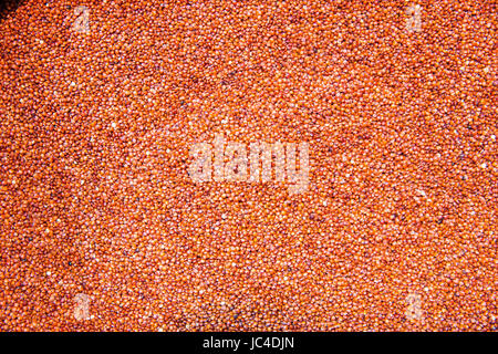 close up view of organic red quinoa. Red quinoa background or texture Stock Photo