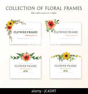 Set of Flower Floral orange Dahlia Sunflower yellow daisy, Eucalyptus branches Jasmine leaves card design collection. Vector illustration beautiful la Stock Vector