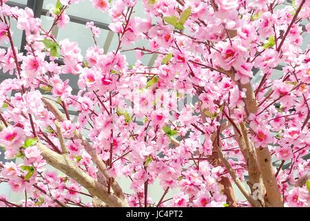 Artificial Pink Sakura Flowers or Cherry Blossoms in Japanese Style for Home and Building Decoration. Stock Photo