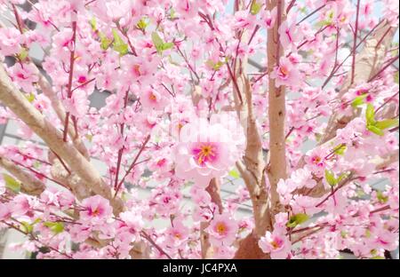 Artificial Sakura Flowers or Cherry Blossoms in Japanese Style for Home and Building Decoration without The Care. Vintage Color Toned. Stock Photo