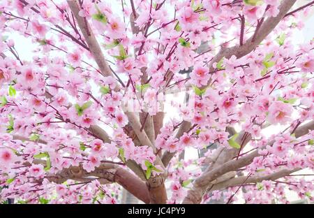 Branch of Artificial Sakura Flowers or Cherry Blossoms in Japanese Style for Home and Building Decoration. Soft Focus in Pastel Vintage Tone. Stock Photo