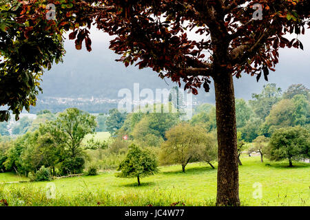 Maienfeld in Graubuenden, switzerland, Country of Heidi, the children book; Maienfeld und Heididorf in Graubünden, schweiz Stock Photo