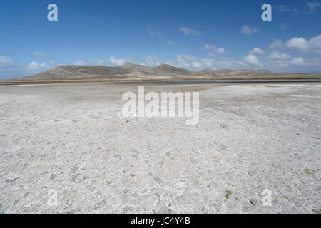 view of bay at Carcass Island, Falkland Islands Stock Photo