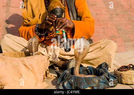 A snake charmer is playing flute to get his cobra dancing at the holy river Ganges at Dashashwamedh Ghat, Main Ghat, in the suburb Godowlia Stock Photo