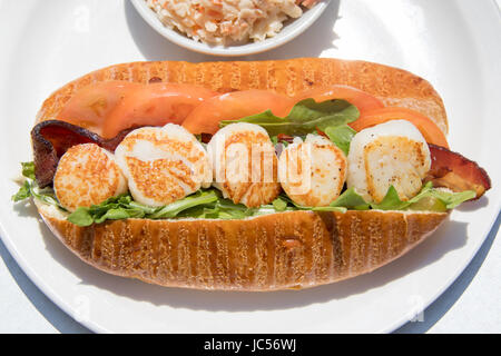 Scallop Club Po’Boy, The Savvy Sailor Restaurant, Lunenberg, Nova Scotia, Canada Stock Photo