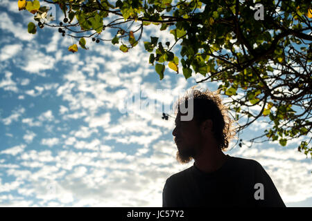 silhouette of a man Stock Photo