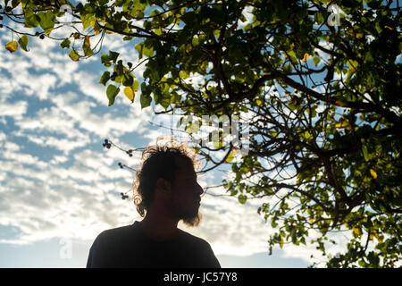 silhouette of a man Stock Photo