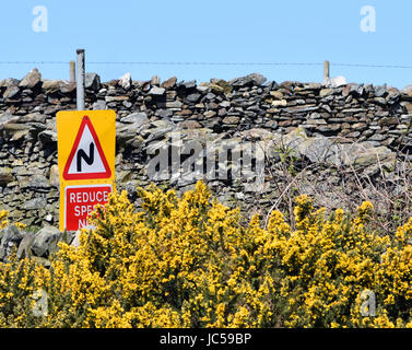 Double bend first to right road sign in Britain Stock Photo