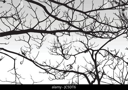 Silhouette of dry branches of a tree. Stock Vector