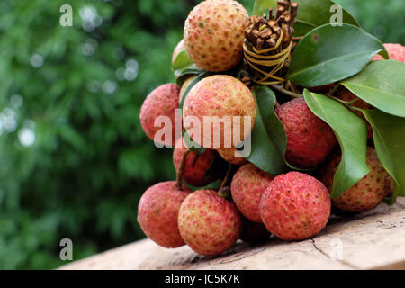 Vietnam fruit, litchi or lychee, a tropical fruits that delicious, sweet at Bac Giang, bunch of vai thieu on green background Stock Photo