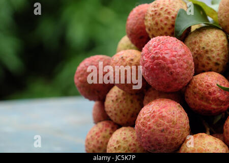 Vietnam fruit, litchi or lychee, a tropical fruits that delicious, sweet at Bac Giang, bunch of vai thieu on green background Stock Photo