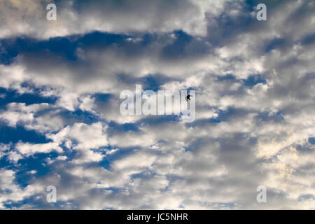 Fluffy cloud background Stock Photo