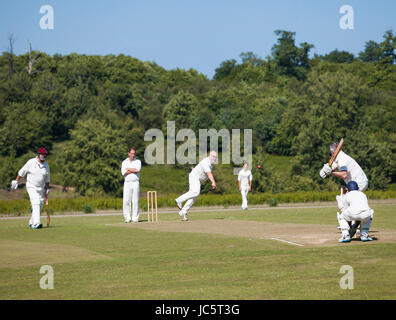 Men playing cricket in Knole Park Sevenoaks. Stock Photo