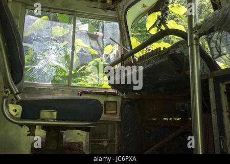 Interior of abandoned street car drivers seat with overgrown weeds. Stock Photo