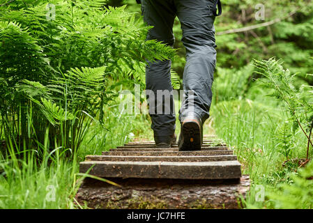 Man walking along a wooden path through the green forest Stock Photo