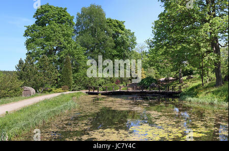 Smalll rural pond  with wooden bridge with still water. The water surface has grown with weeds and ooze. Ashore the wood grows and road in village run Stock Photo