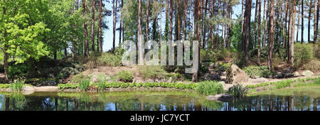 On the long sandy coast of the forest lake centenary pines and beautiful bushes grow. SUmmer panoramic collage from several outdoor photos Stock Photo