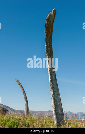 Whale Bone Alley, Ittygran Island, Chukotka, Russia Stock Photo